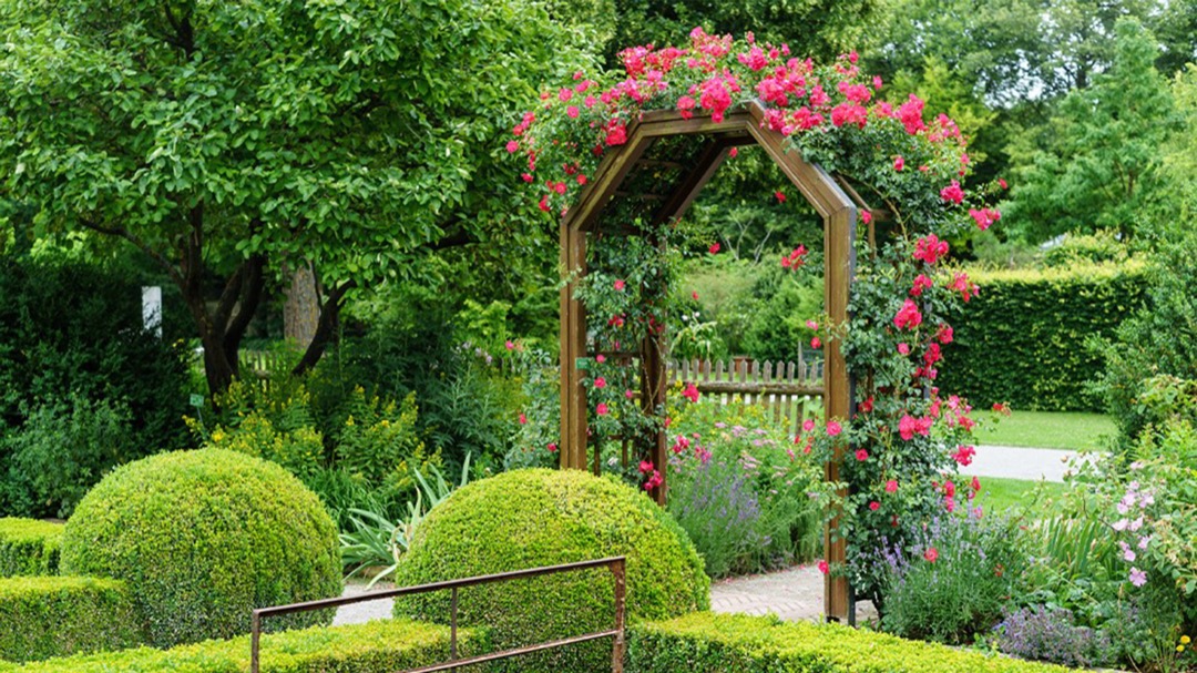 Transform Your Garden with Vertical Structures: Trellises, Arbors, and Pergolas