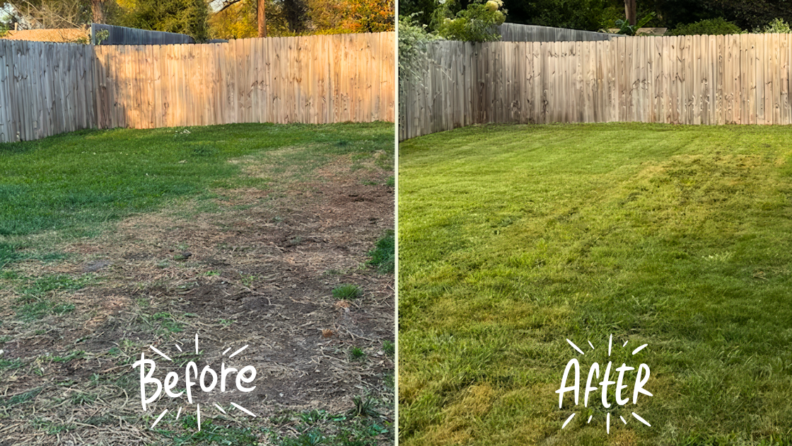 Lawn & Garden Emergency: Solving the 5 Most Common Yard Problems, From Weeds to Brown Patches