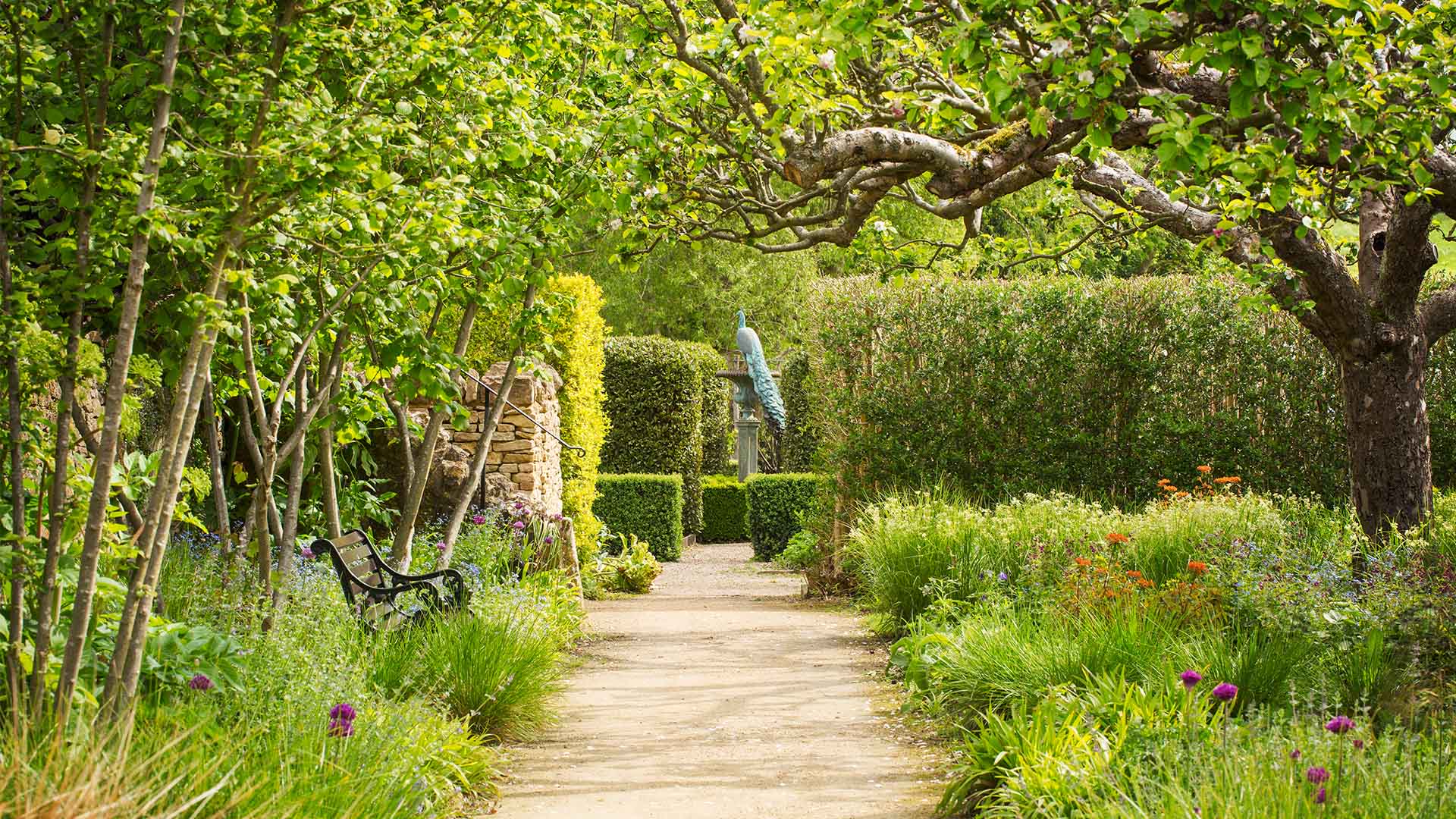 The Ultimate Guide to Regenerative Landscape Design