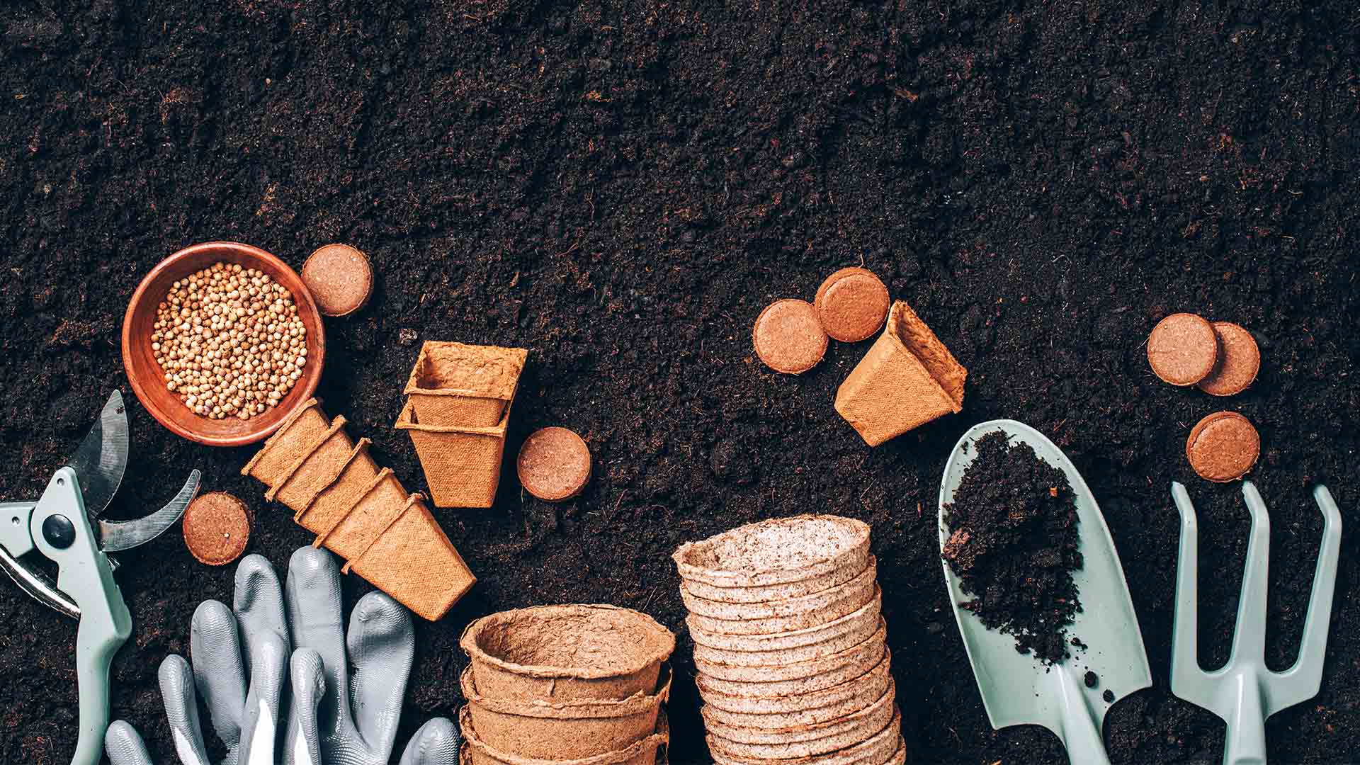 Why Soil Health is the Secret to a Thriving Garden (And a Healthier Planet)