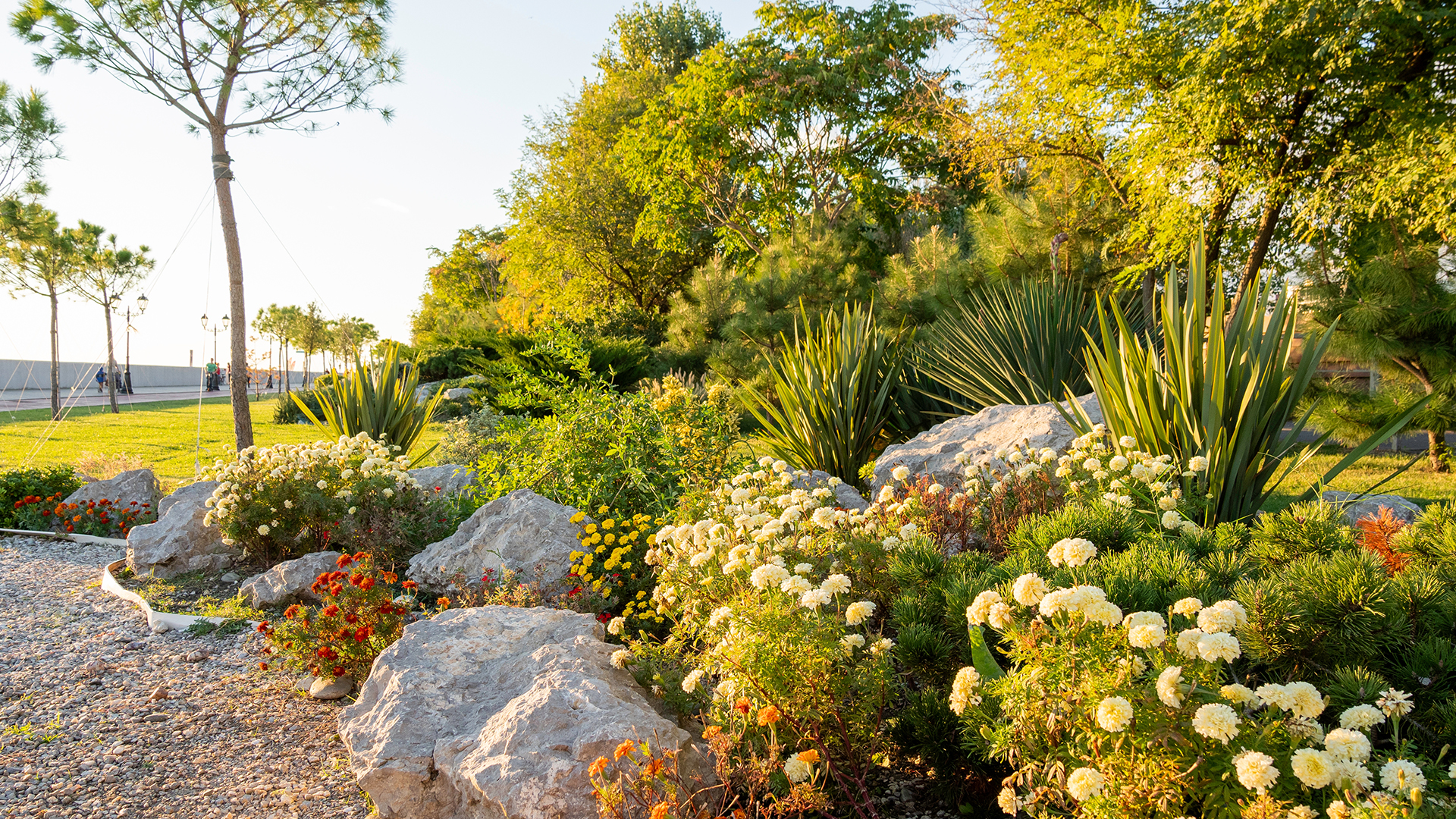 The Modern Oasis: A Step-by-Step Guide to Designing a Low-Water, High-Impact Yard