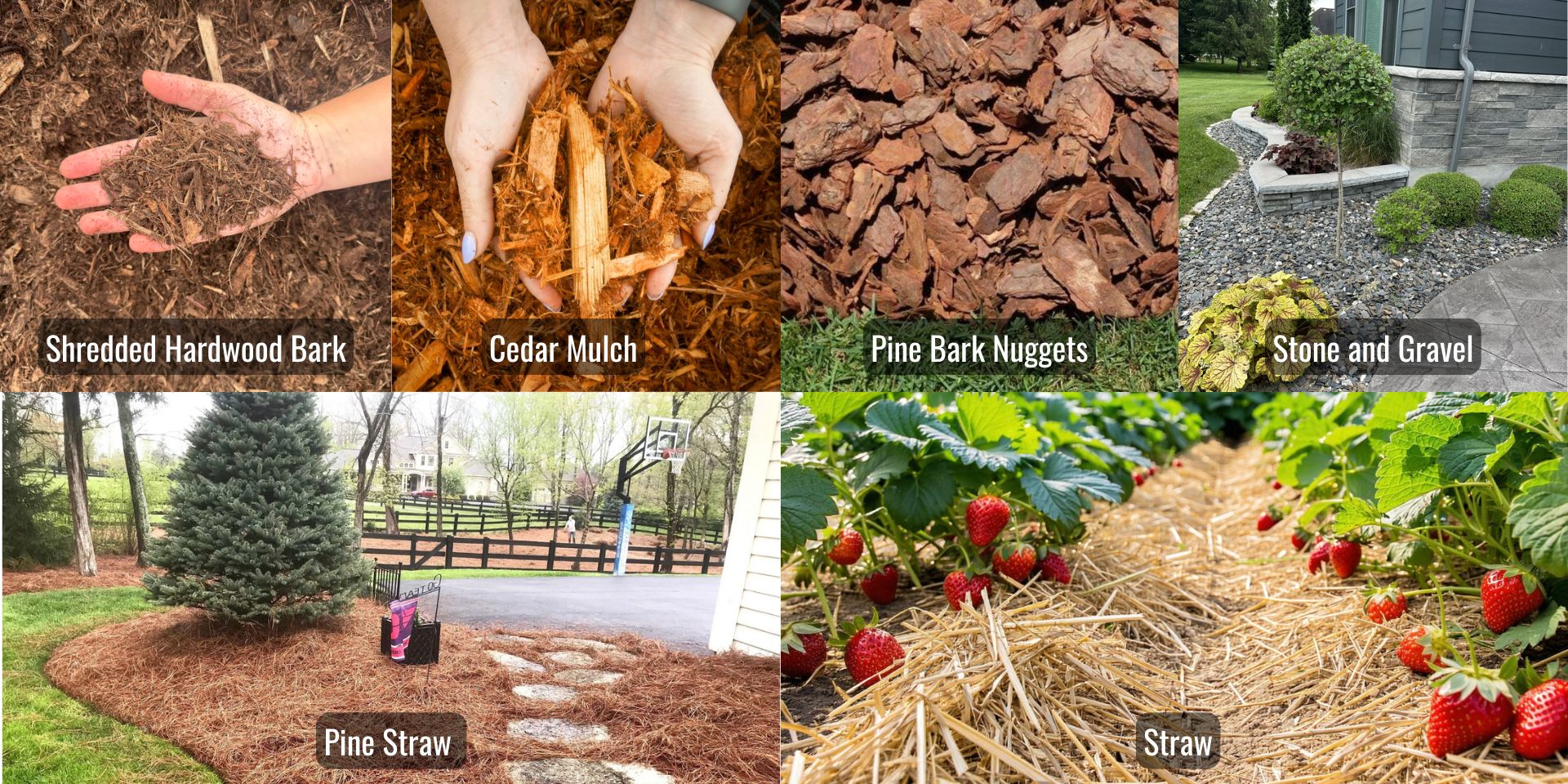 The Top 6 Mulch Varieties: Which One is Right for Your Soil and Style?